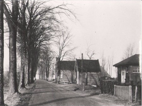 Het Ontstaan Van De Domela Nieuwenhuisweg Nij Beets Doarpsite